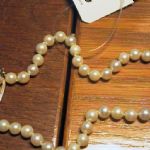 205 1283 Collier